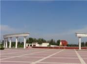 ���ݴ�ӭ���㳡