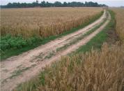 ͼ������