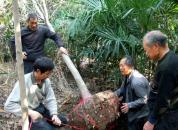 ��ƽ����ľ��������ʱ