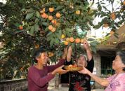 ���Ӻ���