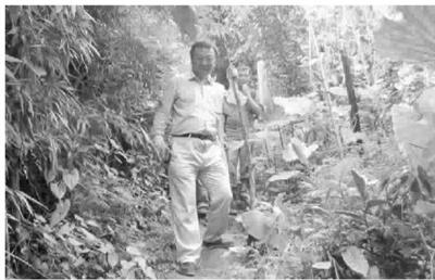 ���������һҳ