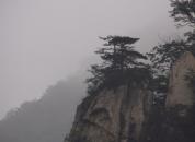 ��֤����