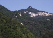 ��̬����