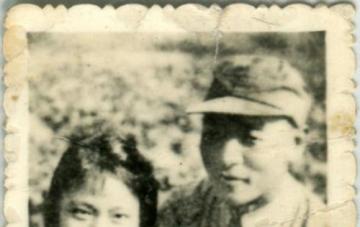 ����������ѩ�㽫��������ӱ��������95��