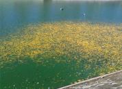 ���������������񾰹㳡