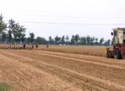 ����Ӫ������������ȫ������չ��