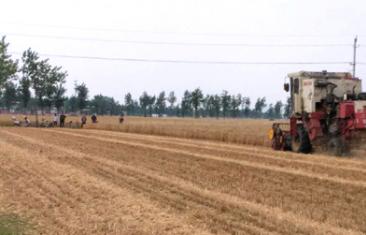 ����Ӫ������������ȫ������չ��