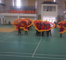 ����ʮ����Ԫ��      ��������������