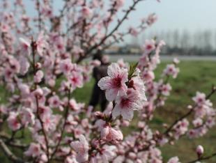 ���飺�ּ������� �һ�����