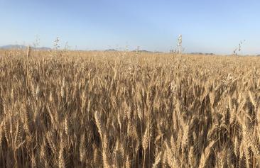 ��������~��~