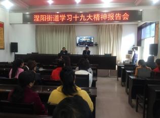 �����ֵ����´���֯���ظɲ�ѧϰʮ�Ŵ󱨸�