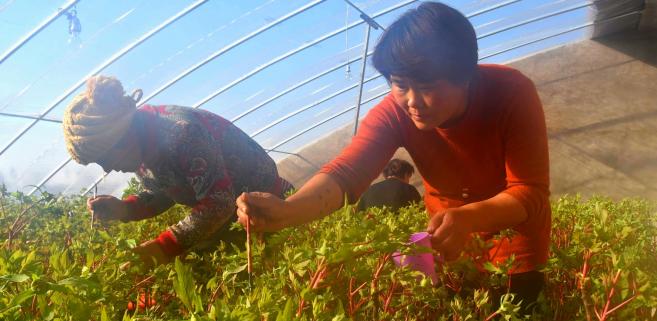 ��ƽ���񶼽ֵ���ĵ������������